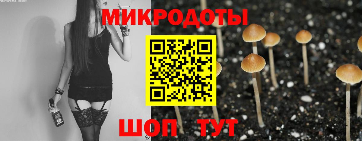 Псилоцибиновые грибы Psilocybe  Вход с VPN  Полысаево 